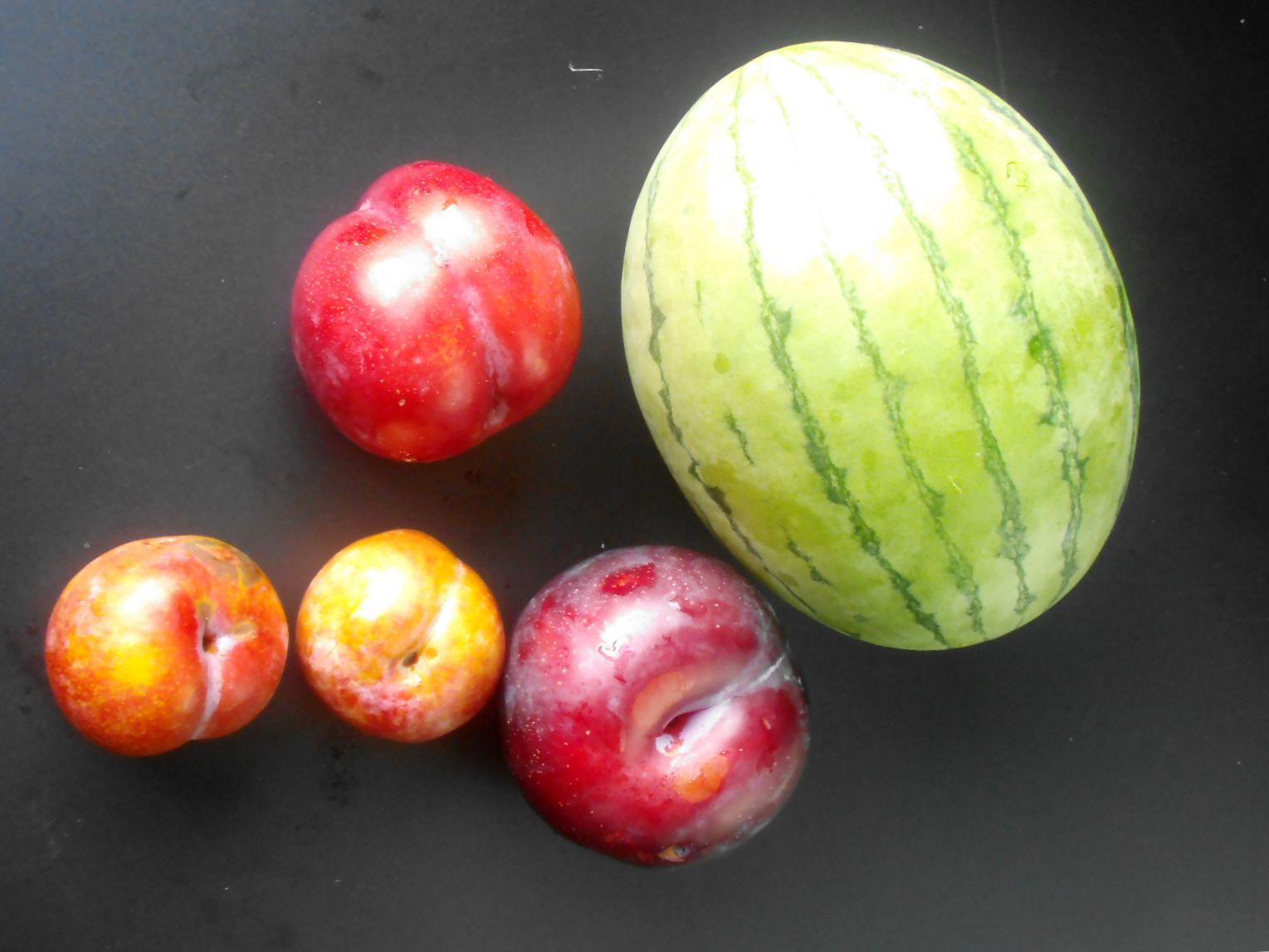 Fruit